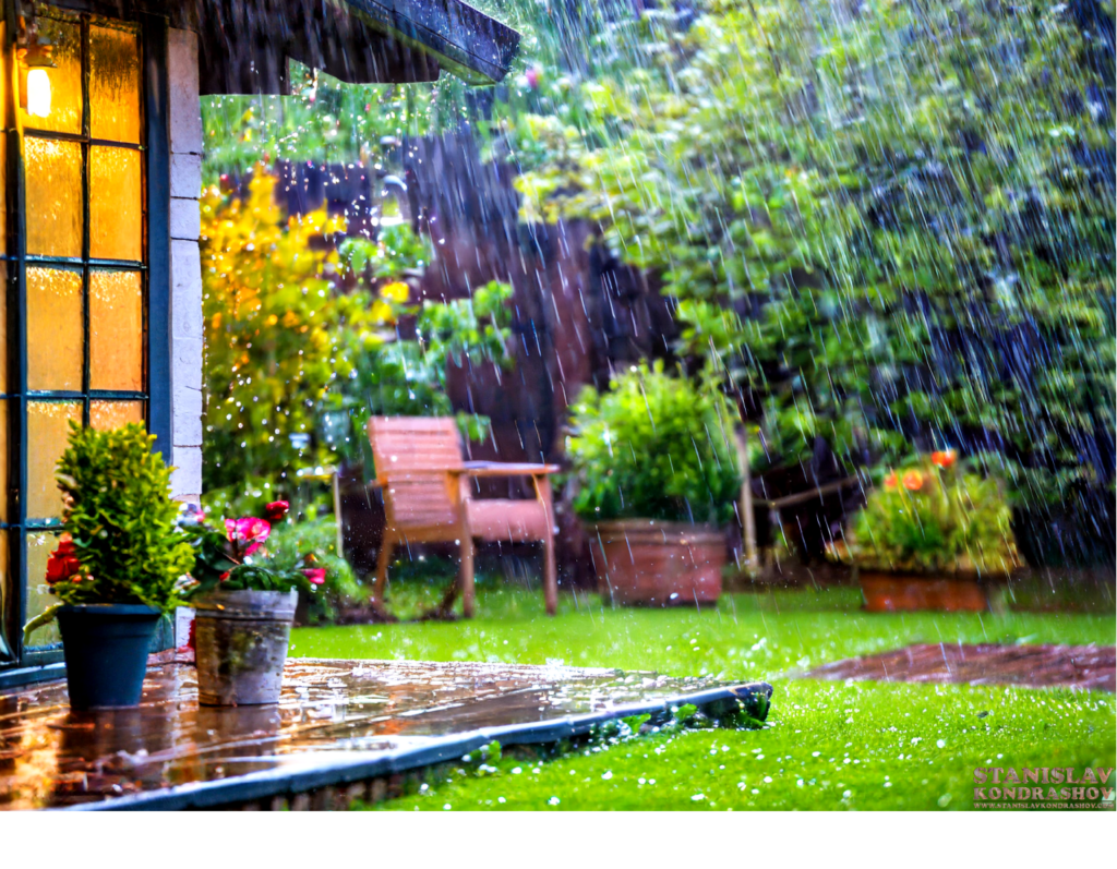 raining in yard