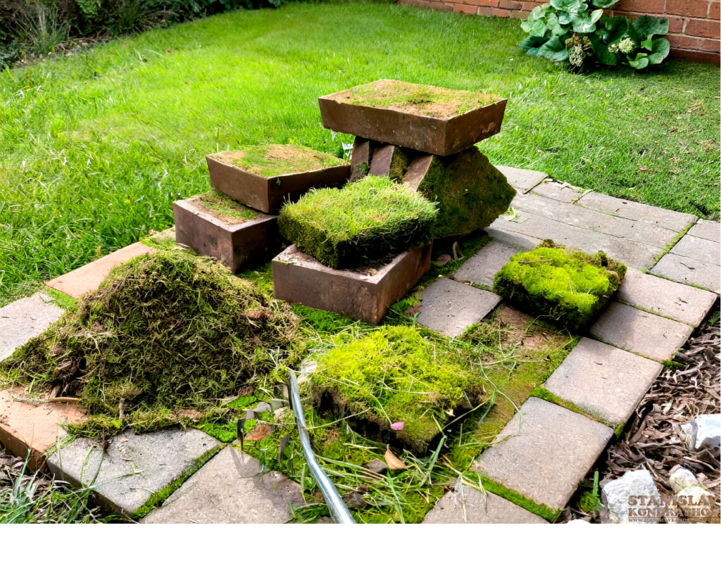 moss pieces